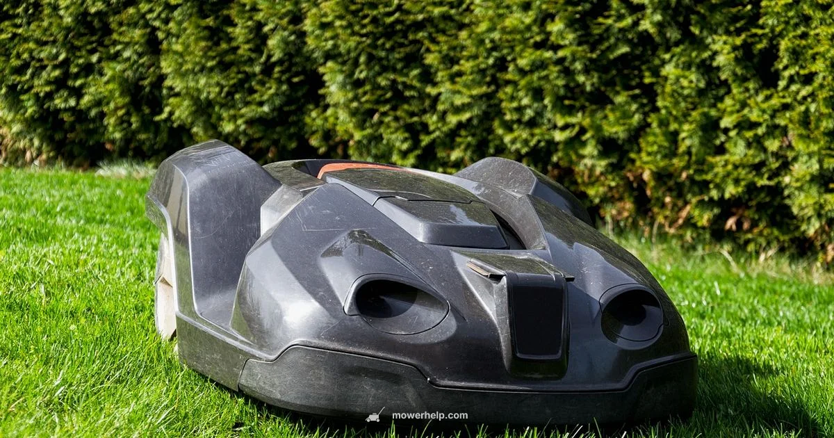 Mower Deals 2026 - Mower Help