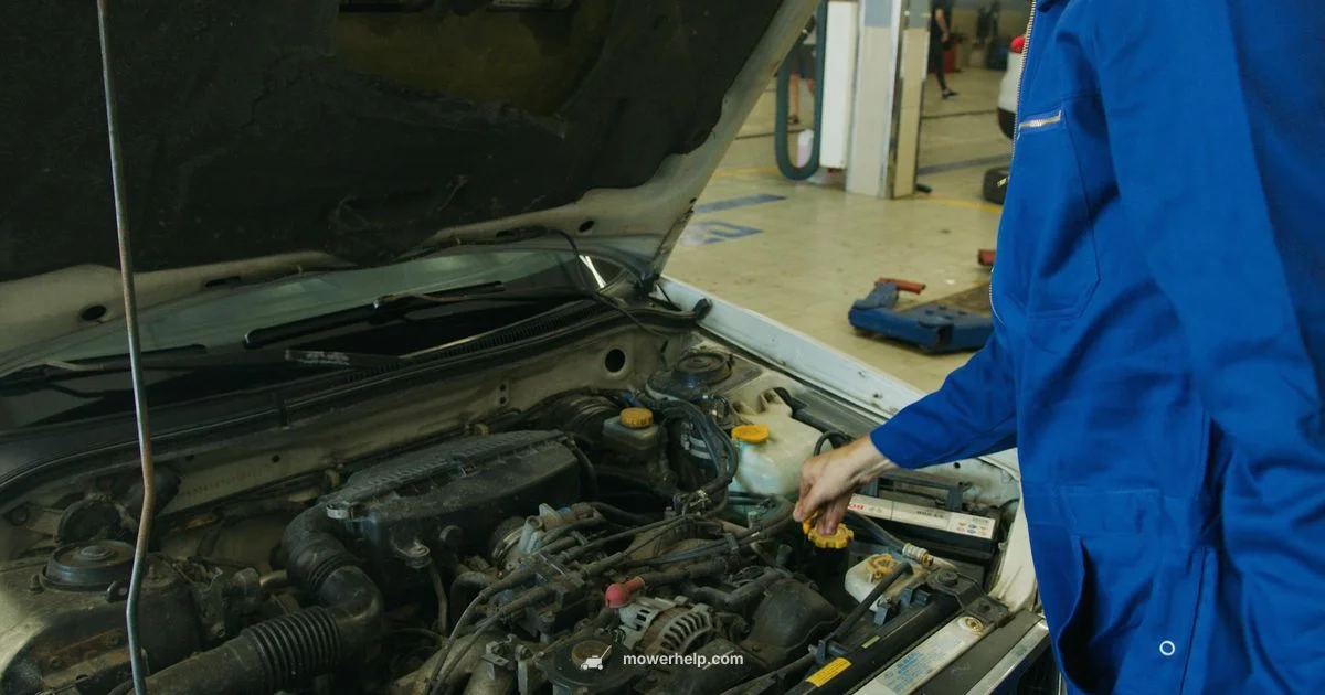 Carburetor Repair - Mower Help