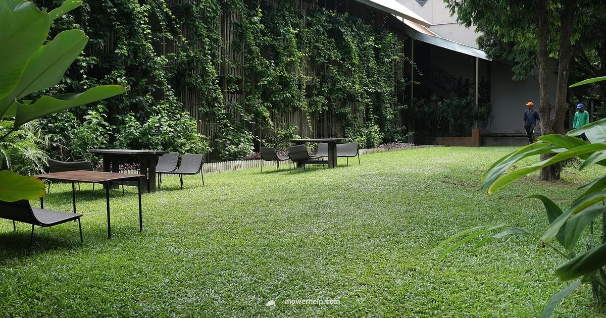 Lawn Mower Care - Mower Help